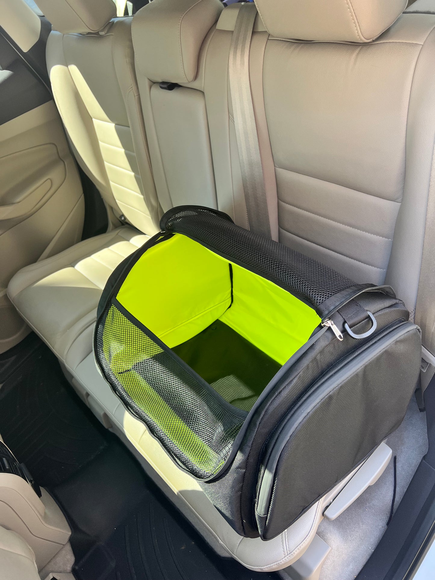 Pet Carrier