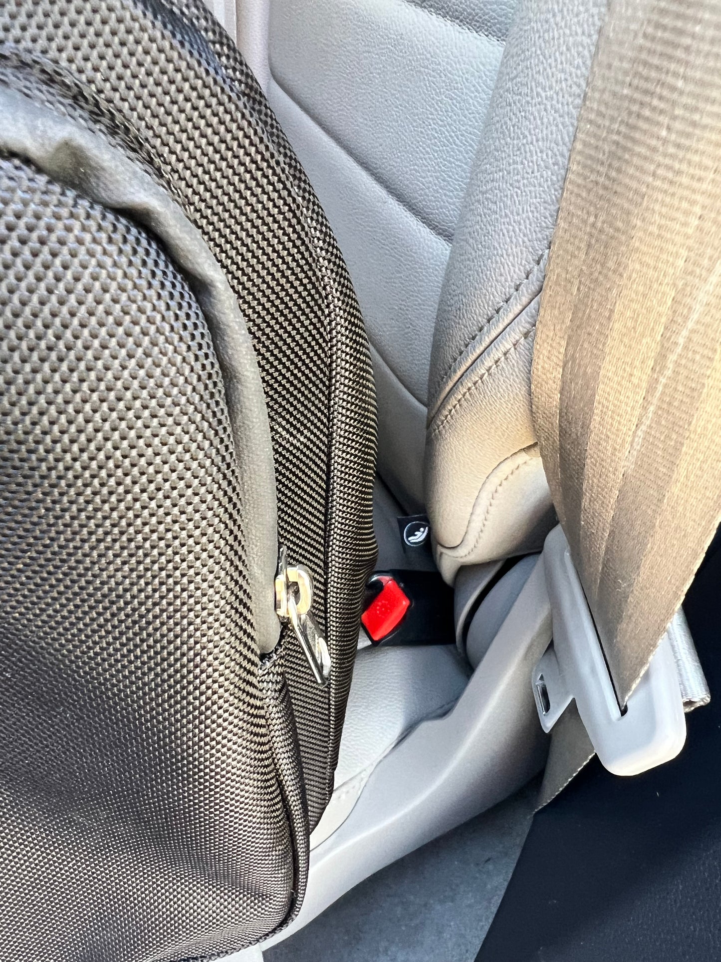 Pet Carrier