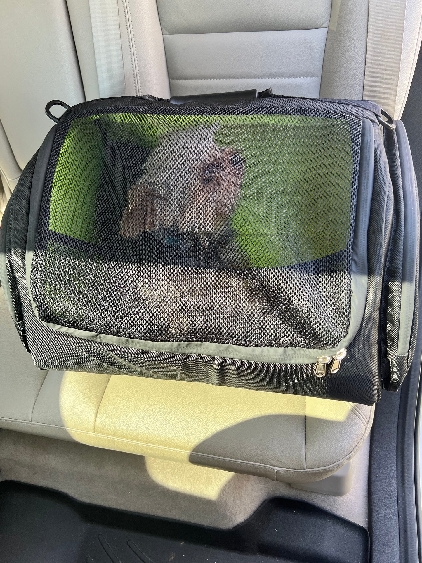 Pet Carrier