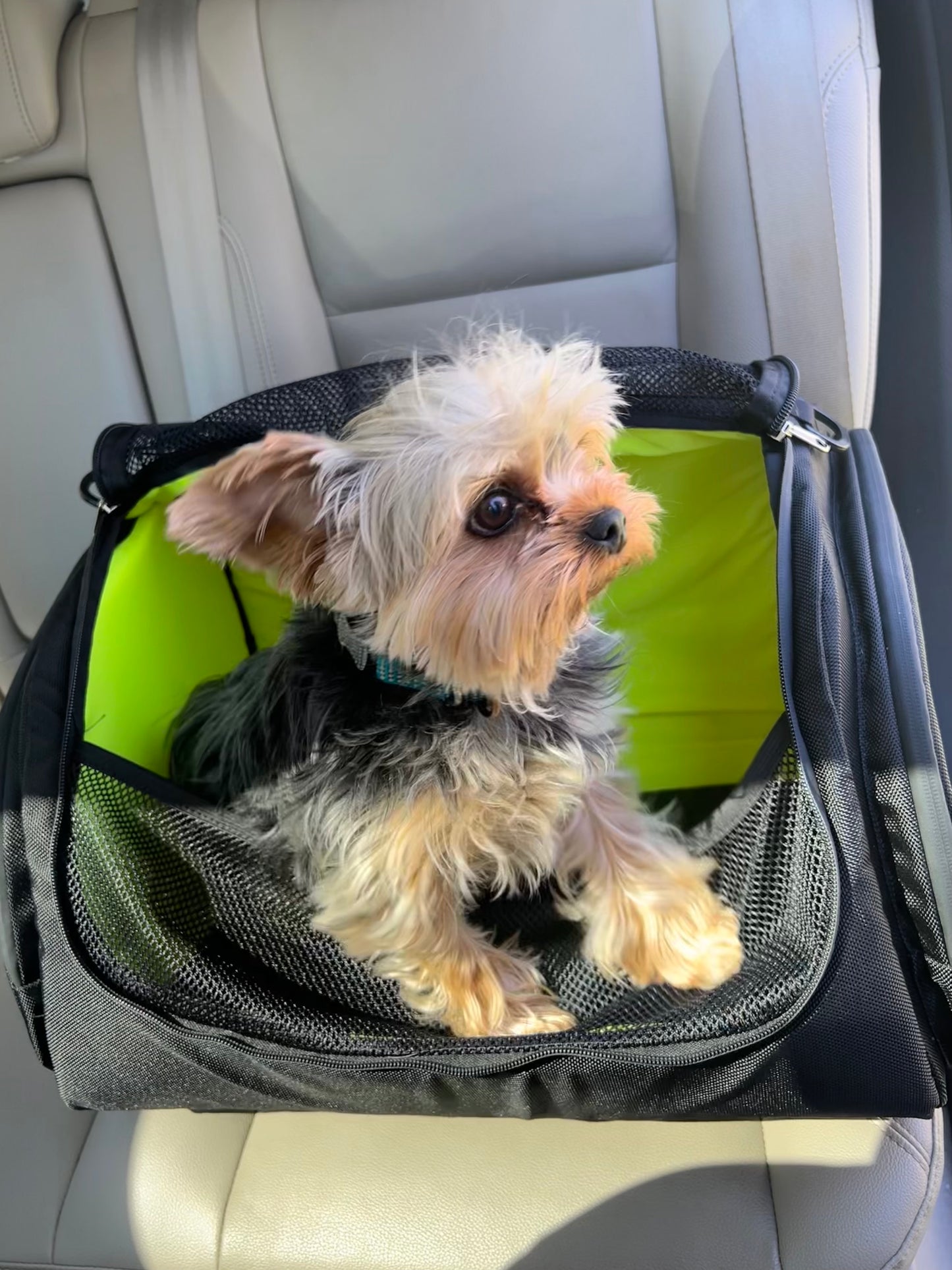 Pet Carrier