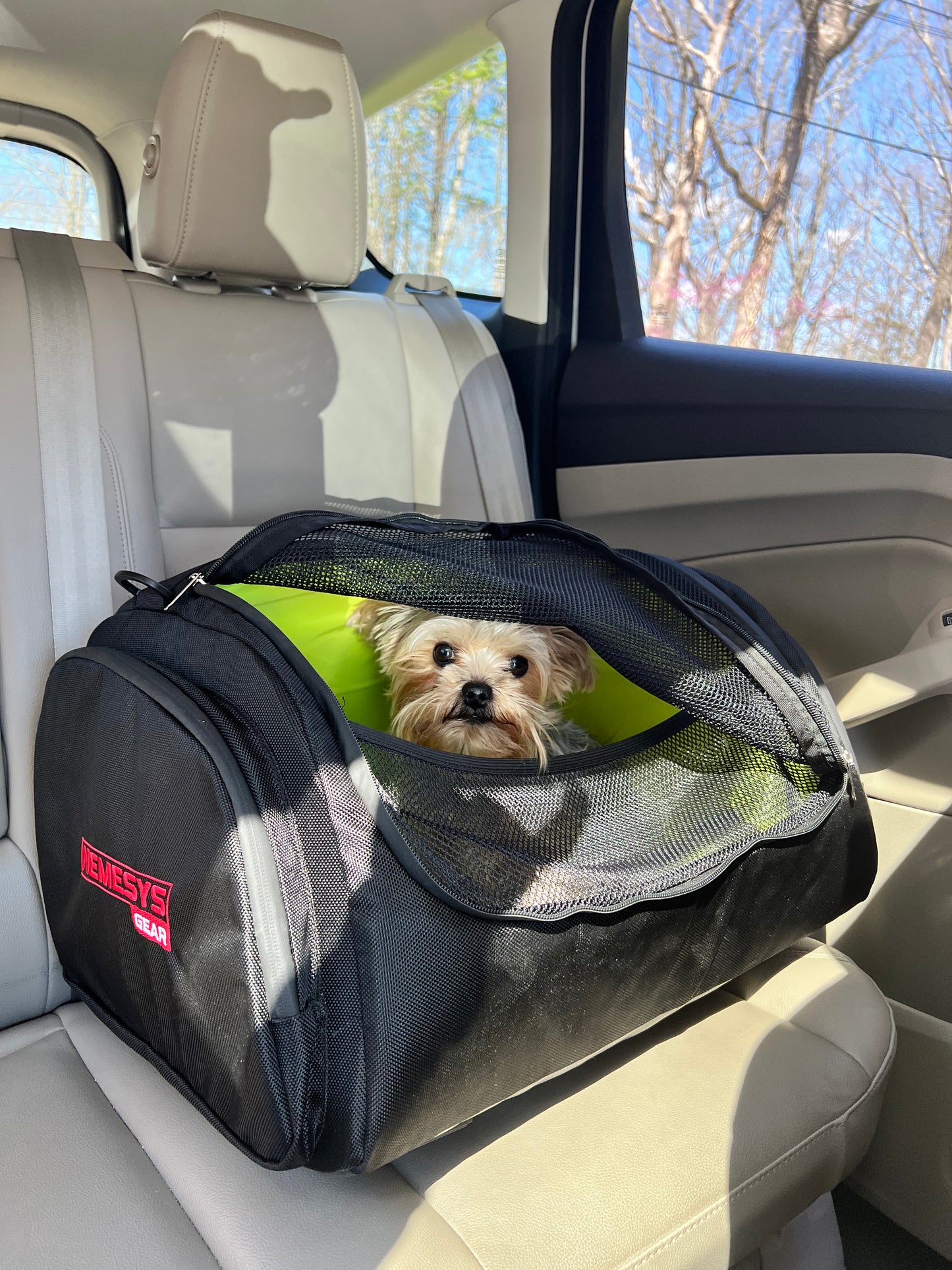 Pet Carrier